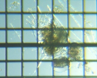 fig.06 �c�{�����V