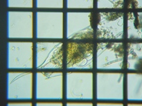 fig.08 �c�m�����V