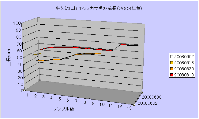 fig.02 ���v���ɂ�����A���J�T�M�̐����i�Q�O�O�W�N���j