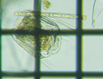 fig.05 �n�l�E�f�����V