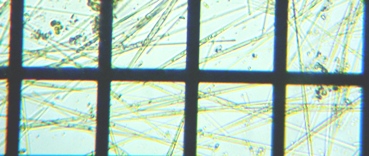 fig.08 �V�l�h����