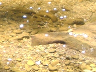 fig.00 ���x���O