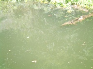 fig.01 ���x���P