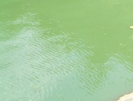 fig.03 ���x���R