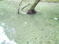 fig.04 ���x���S