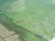 fig.05 ���x���T