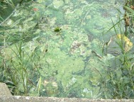 fig.06 ���x���U