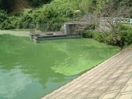 fig.07 ���x���R�`�T