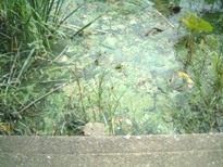 fig.08 ���x���U