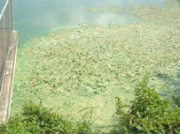 fig.09 ���x���U