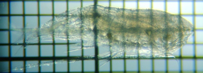 fig.02 �q�Q�i�K�P���~�W���R