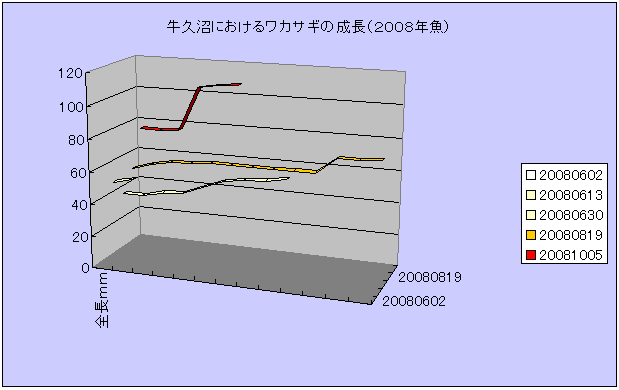 fig.02 ���v���ɂ�����A���J�T�M�̐����i�Q�O�O�W�N���j