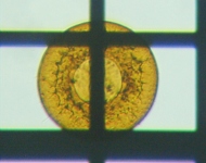 fig.04 �i�x�J������