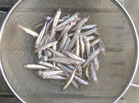 ��א���{�[�g��