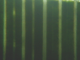 fig.03 �K�}�̗t�i�\�ʁj