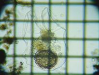 fig.03 �t�N�������V