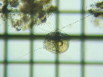 fig.03 �n�l�E�f�����V