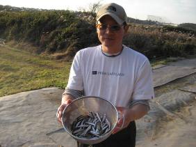 �s�苴�����{�[�g��