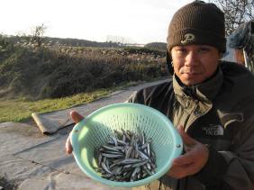 �s�苴�����{�[�g��