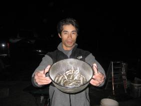 ���J�c����{�[�g��