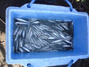 ��א�ݒނ��