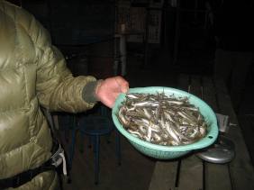 ��א���{�[�g��