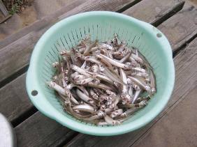 ��א���{�[�g��