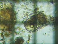 fig.02 �n�l�E�f�����V