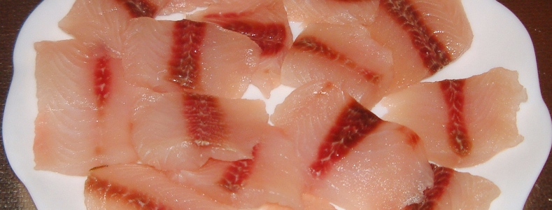 fig.01 ���{���̐؂�g