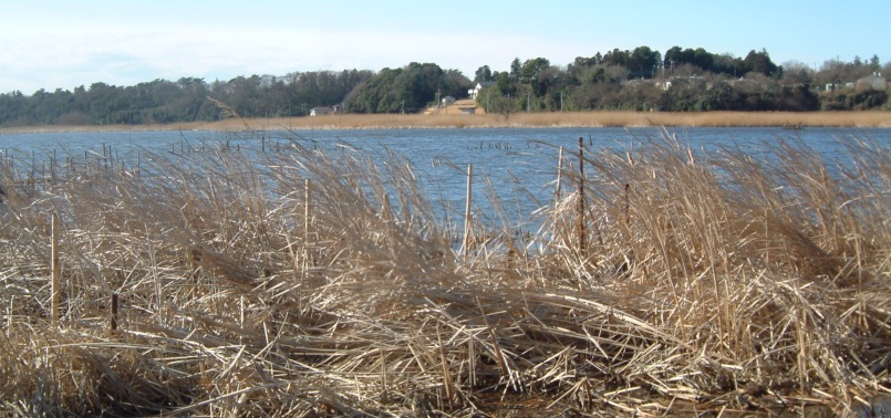 fig.01 �O�Q���̋��v��