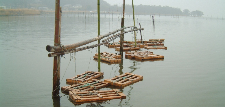 �`�J�󐸗��i�ΖʐZ�Ёj�̗l�q