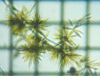 fig.03 �t����