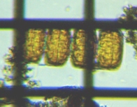 fig.07 �]���̈��