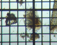 fig.01 �c�{�����V