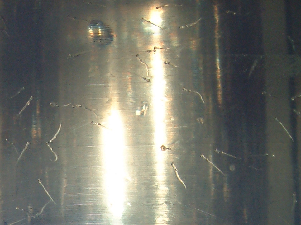 fig.01�@�Ӊ������V�j���郏�J�T�M�e��