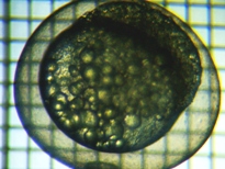 fig.b01 �������