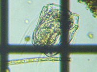 fig.05 �n�l�E�f�����V