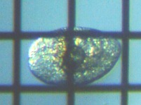 fig.08 �_�t�j�A�i���j