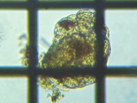 fig.09 �����V�̈��