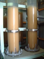 fig.a02 ����Q����