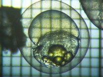 fig.b01 �������