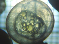 fig.b04 ����S����