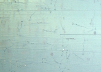 fig.b08 ����W����