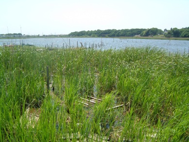 fig.02 ����ꏊ