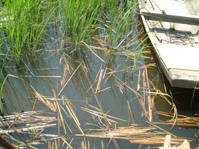 fig.03 �ߊl��������