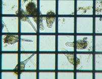 fig.10 �e�}�������V��