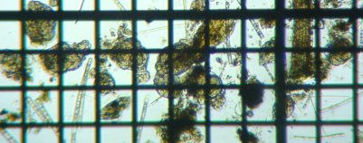 fig.11 �e�}�������V��