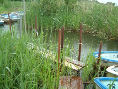 fig.03 �ݒu�ꏊ�a��