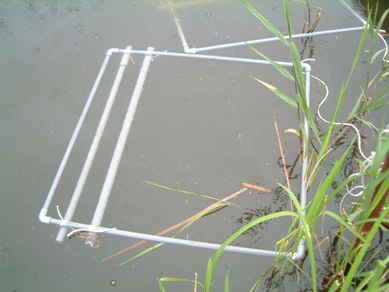 fig.04 �a��̎Y����