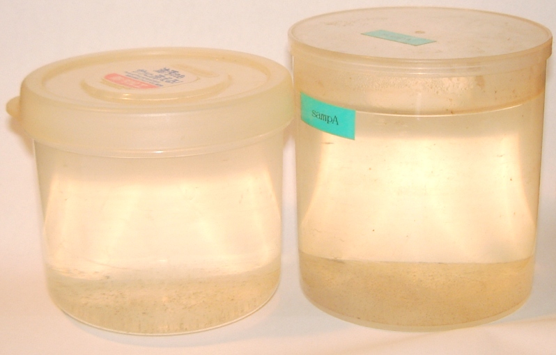 fig.02 �Òu��̒r��